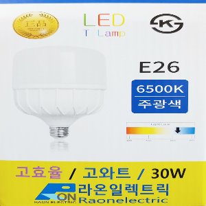 라온일렉트릭 고효율 LED램프 T램프 U볼램프 매장조명 LED전구 20W 30W 40W E26 소모갈 주광색 LAMP